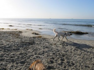 IMG_2522