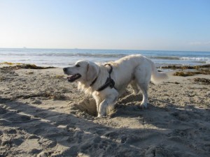 IMG_2526