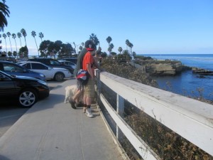 IMG_2578