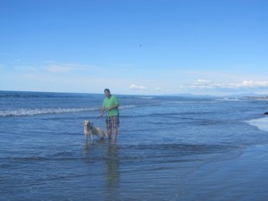 Hundestrand Del Mar