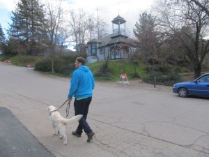 IMG_2627