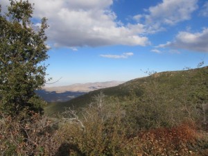IMG_2655