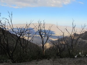IMG_2660