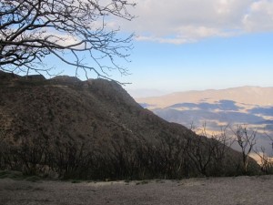 IMG_2662