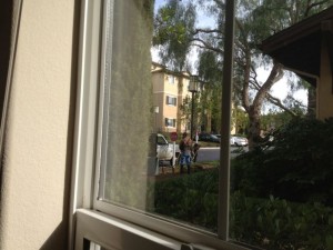 IMG_0038