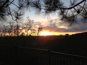 IMG_0043