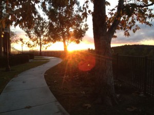 IMG_0044