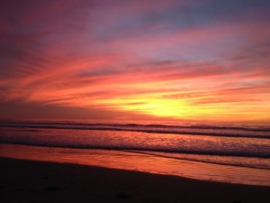 IMG_0056