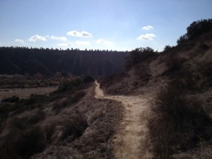 IMG_0086_2