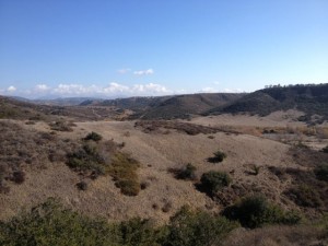 IMG_0087_2
