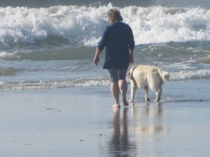 IMG_2748