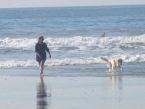 IMG_2749