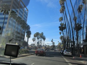 IMG_2916