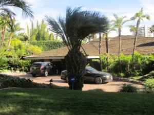 IMG_2929