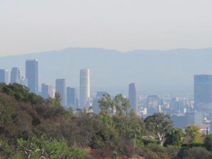 IMG_2934