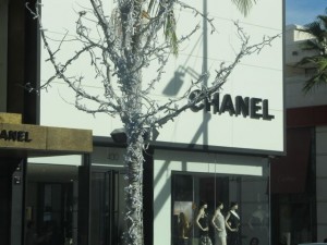 IMG_2950
