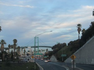 IMG_2979
