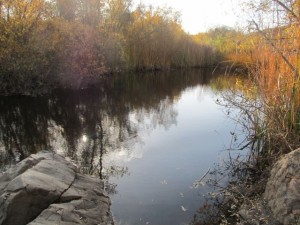 IMG_3025