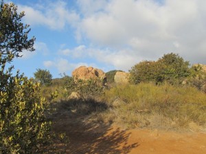 IMG_3041
