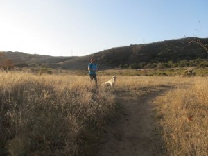 IMG_3049