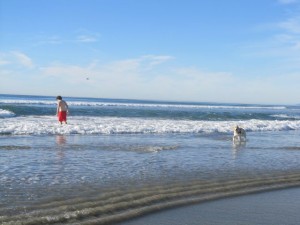 IMG_3081