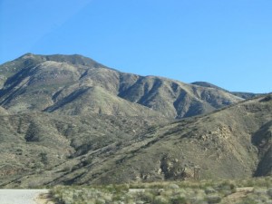IMG_3098