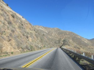 IMG_3101