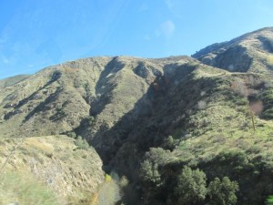 IMG_3106
