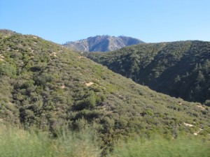 IMG_3132