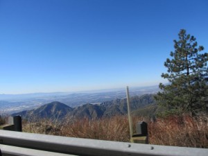 IMG_3137