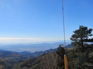 IMG_3139