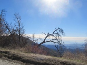 IMG_3140