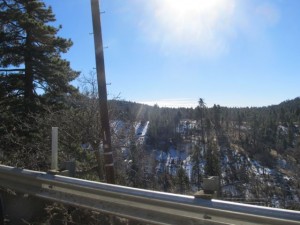 IMG_3141