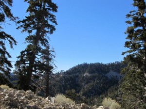 IMG_3150