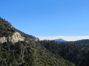IMG_3152