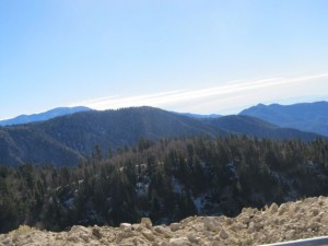IMG_3155