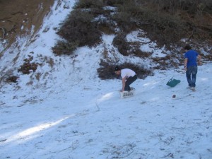 IMG_3205