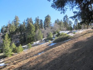 IMG_3212