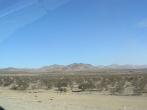 IMG_3264