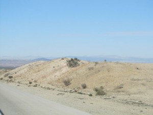 IMG_3268