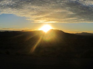 IMG_3329