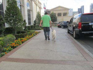 IMG_3359