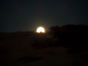 SAMSUNG CAMERA PICTURES