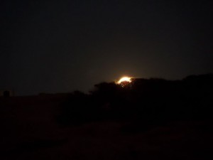 SAMSUNG CAMERA PICTURES