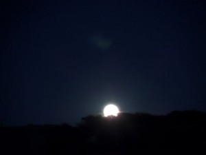 SAMSUNG CAMERA PICTURES