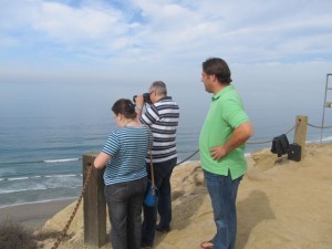 IMG_3436
