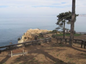 IMG_3449