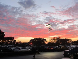 IMG_3458