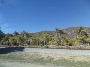 SAMSUNG CAMERA PICTURES