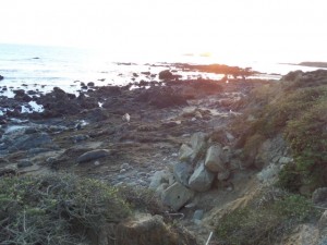 SAMSUNG CAMERA PICTURES